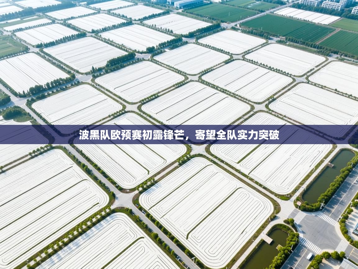 波黑队欧预赛初露锋芒，寄望全队实力突破  第1张