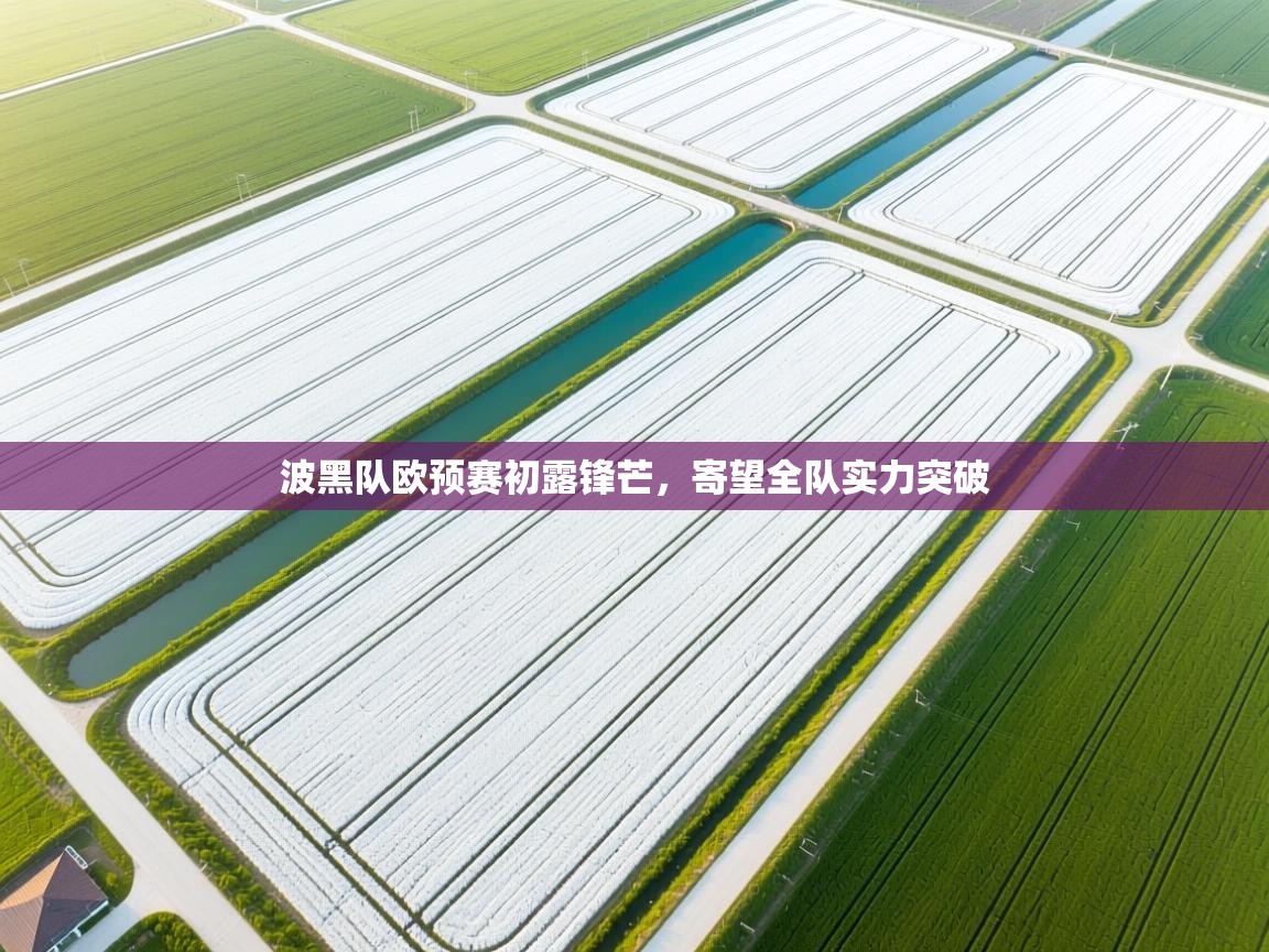 波黑队欧预赛初露锋芒，寄望全队实力突破  第2张