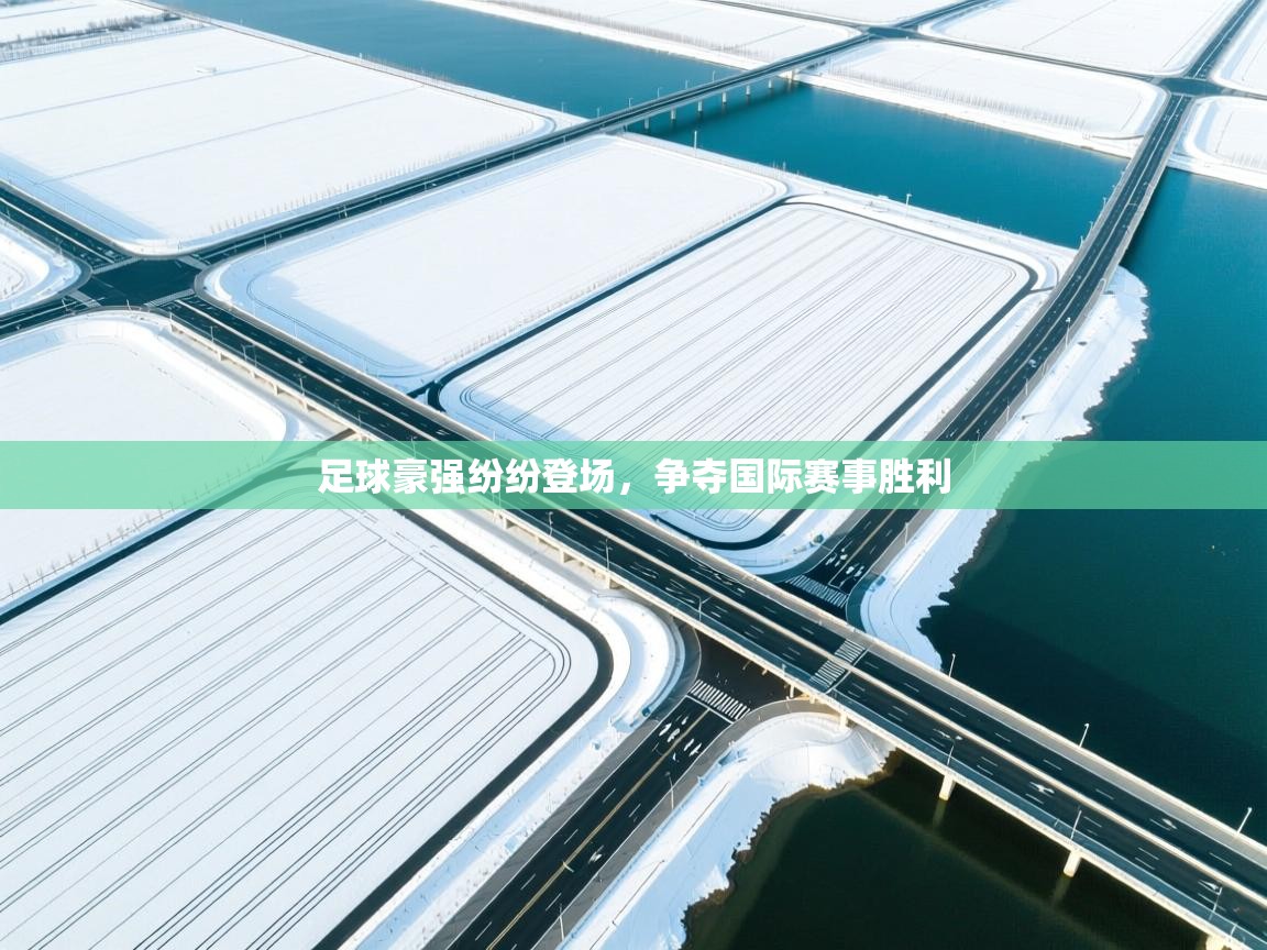 足球豪强纷纷登场，争夺国际赛事胜利  第2张