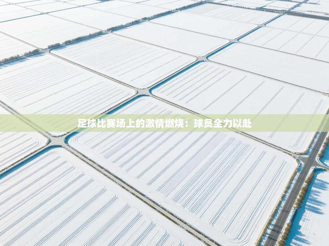 足球比赛场上的激情燃烧：球员全力以赴