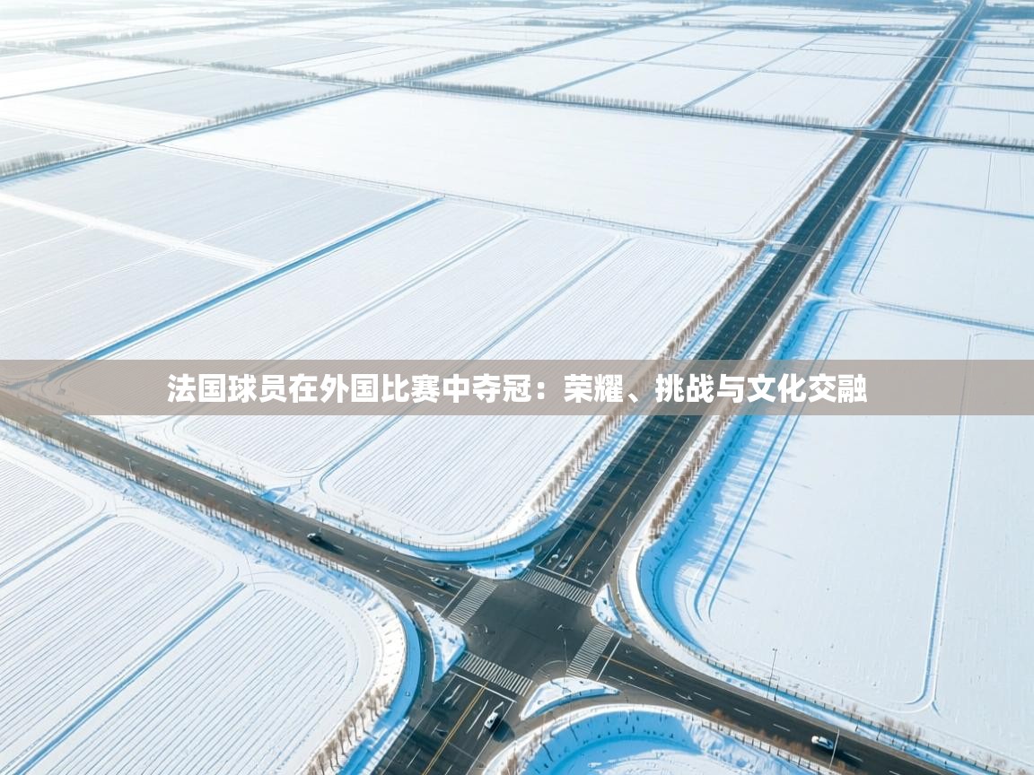 法国球员在外国比赛中夺冠：荣耀、挑战与文化交融  第1张