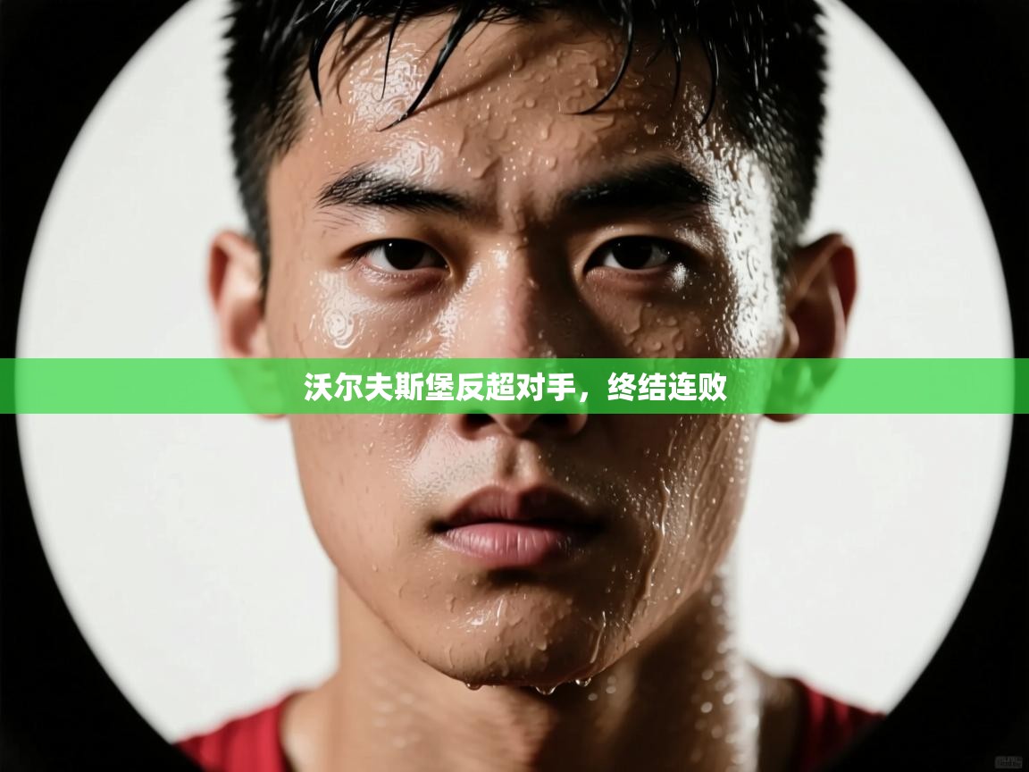 沃尔夫斯堡反超对手，终结连败  第1张