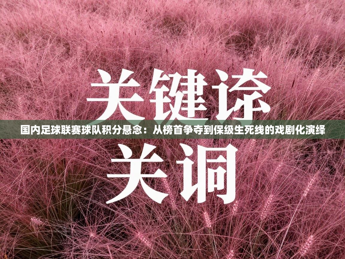 国内足球联赛球队积分悬念：从榜首争夺到保级生死线的戏剧化演绎  第2张