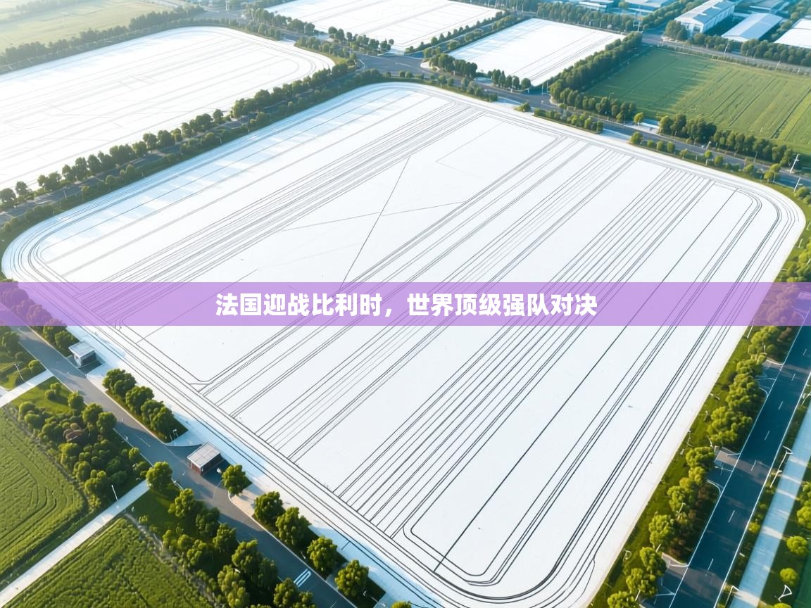 法国迎战比利时，世界顶级强队对决  第1张