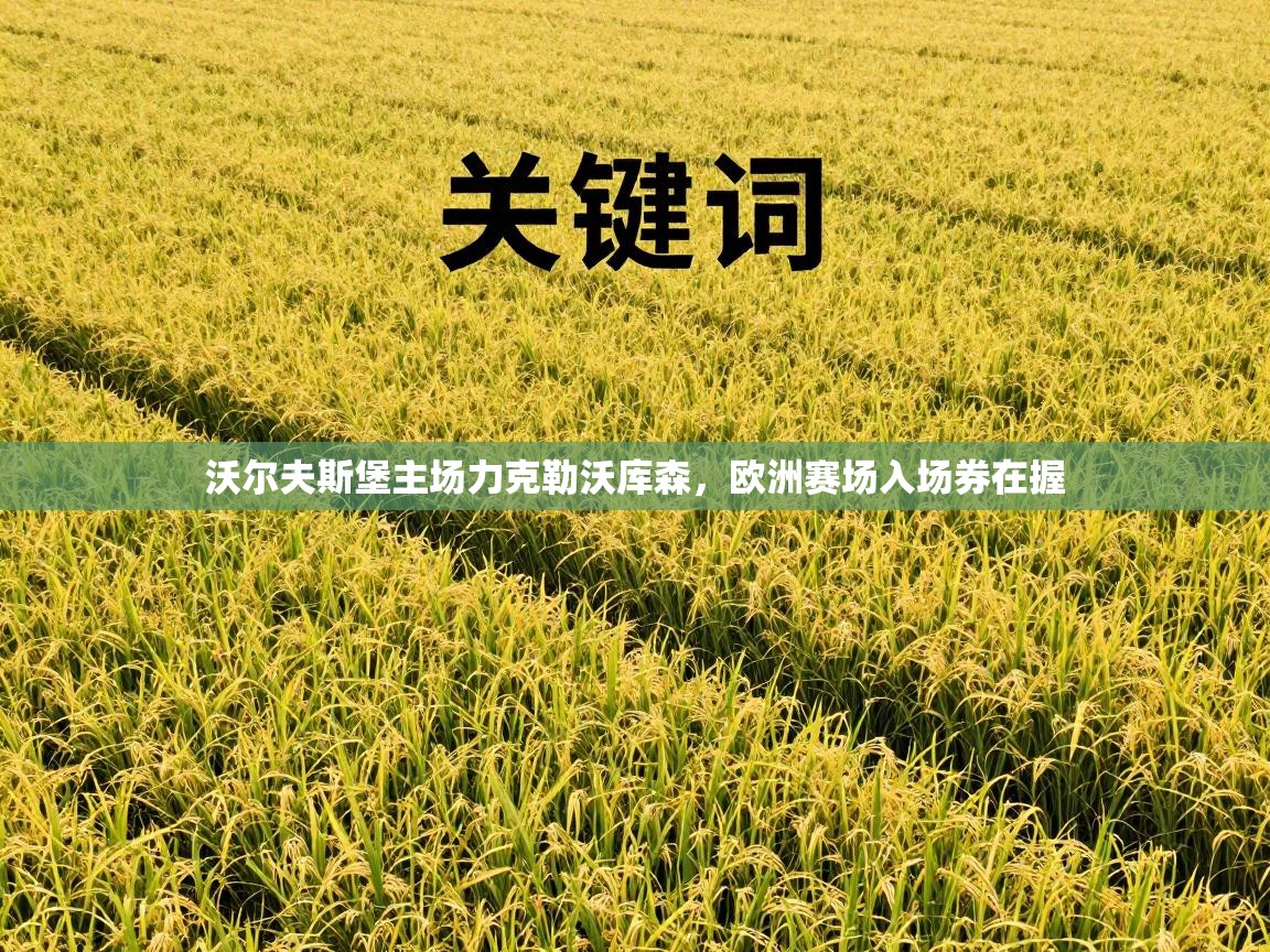 沃尔夫斯堡主场力克勒沃库森，欧洲赛场入场券在握  第1张