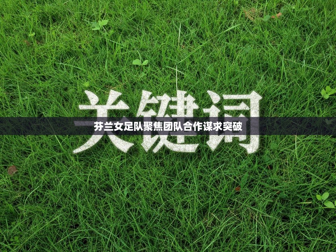 芬兰女足队聚焦团队合作谋求突破 第1张