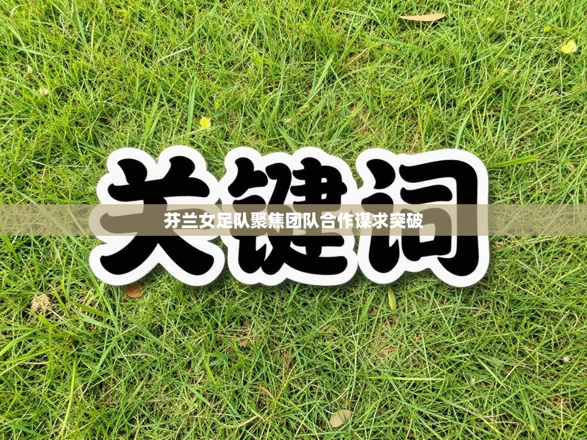 芬兰女足队聚焦团队合作谋求突破 第2张