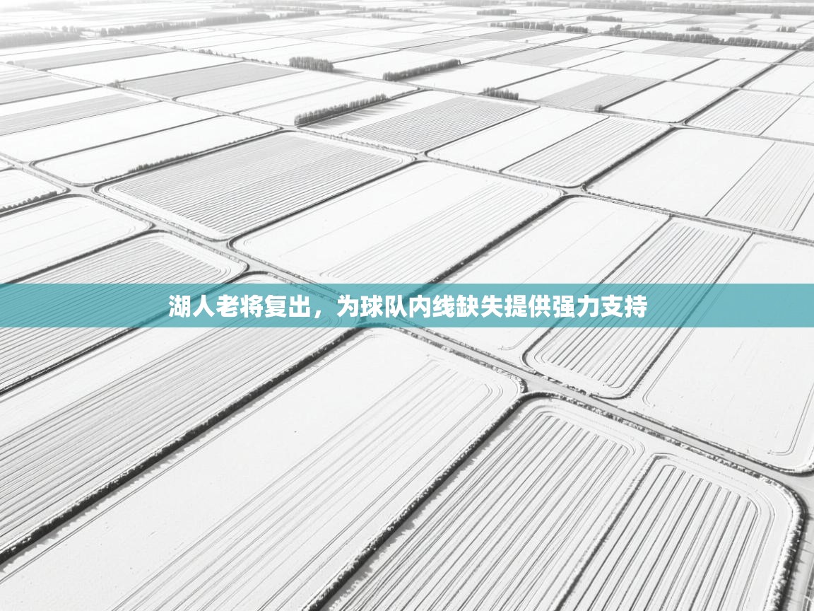 湖人老将复出,为球队内线缺失提供强力支持 第1张