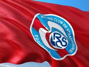 半岛综合体育官方app下载-帕尔梅拉斯主教练称赞球队拼搏精神，期待突破